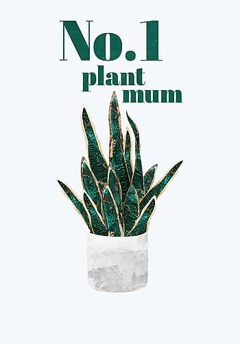 Plant typography quote text 3 Signs Print