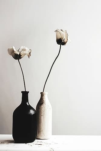 Black And White Vase No 2 Minimalist Print