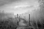 The Plank Bridge Art Print