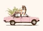 Tiger On Car Art Print