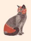 Chat Catcheur Art Print