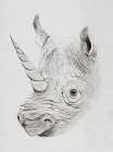 Rhinoplasty Art Print