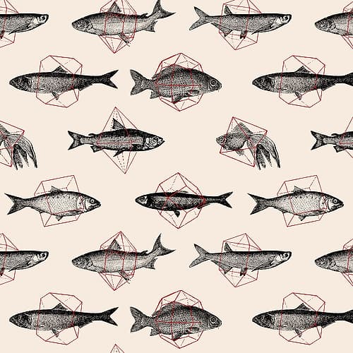 Fish In Geometrics NAo1 Art Print