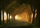 Autumn road...