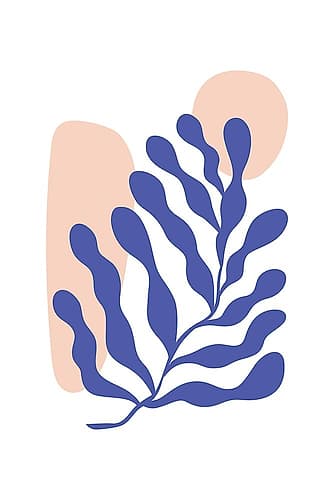 Henri Matissse Set #4 Abstract Art Print
