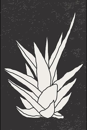Agave #1 Art Print