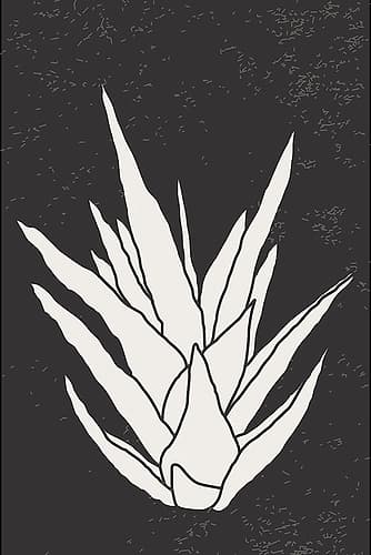 Agave #3 Minimalist Print