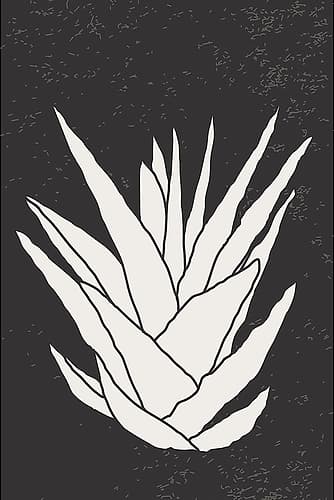 Agave #2 Minimalist Print