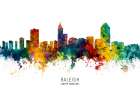 Raleigh North Carolina Skyline Art Print