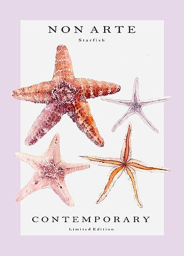 Non Arte Starfish Beach Print