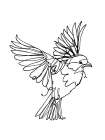 If Youre a Bird Art Print by Hanna Lee Tidd