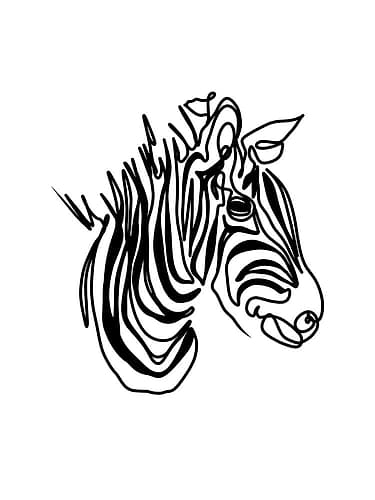 The Zebra Animaux reproduction