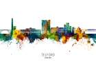 Telford England Skyline Art Print
