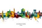 Georgetown Guyana Skyline Art Print