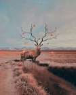 #642 Art Print