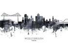 Middlesbrough Skyline Art Print