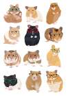 A1 Hamsters In Glasses Art Print