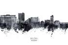 Biloxi Mississippi Skyline Art Print
