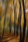 Autumn Park Art Print