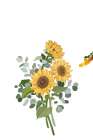 Colorful Sunflower 1 Art Print