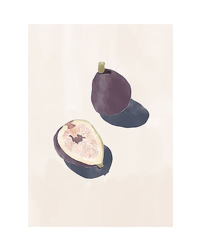 Figs Art Print
