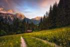 Ehrwalder Sonnenspitze (Tyrol / Austria) Art Print