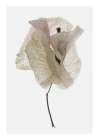 Bougainvillea Study No1 Art Print by Shot by Clint