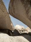 Boulders Art Print by Shot by Clint
