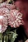 Flower Market Art Print by Shot by Clint