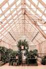 Grow House Art Print by Shot by Clint