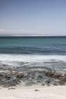J Bay Art Print by Shot by Clint