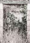 Nature Rules Art Print by Shot by Clint