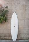Safari Twinfin Art Print