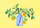 Orangetree Art Print