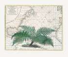 Tropical Empire No4 Botanical Print