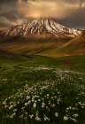 North face of Damavand Art Print