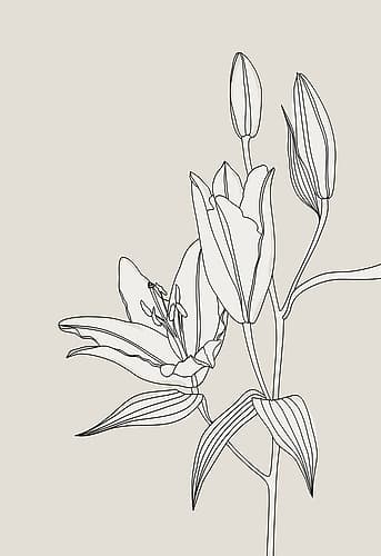 Line art lillies in beige Art Print