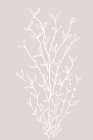 Garran branch in beige Art Print