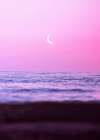Sweet Ocean Art Print