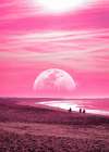 Pink Beach Art Print