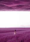Purple Fields Art Print