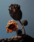 Still Life Flowers No2 Art Print