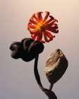 Still Life Flowers No3 Art Print