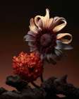 Still Life Flowers No5 Art Print
