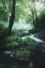 Flow Art Print by Motoki Sumita