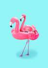 Flamingo on Resort Art Print