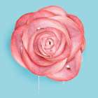 Look Like Lick Art Print