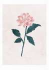 Dahlia Art Print by Goed Blauw