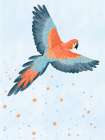 Fly With Me (blue) Art Print
