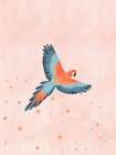 Fly With Me Art Print